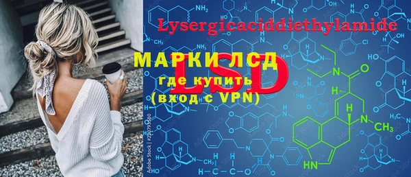 PSILOCYBIN Белокуриха