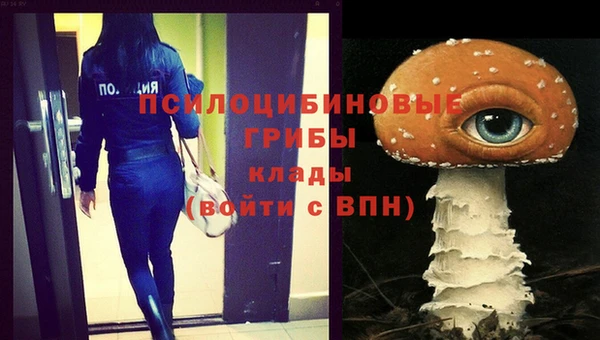 PSILOCYBIN Белокуриха