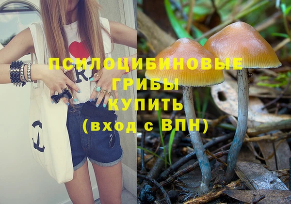 PSILOCYBIN Белокуриха
