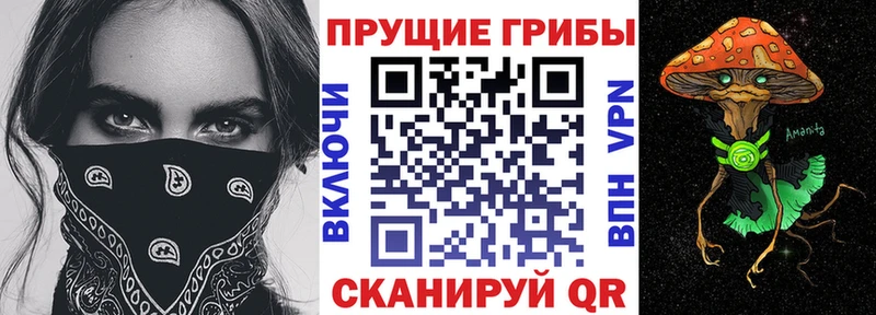 MEGA зеркало  купить закладку  Муравленко  маркетплейс официальный сайт  Псилоцибиновые грибы ЛСД 